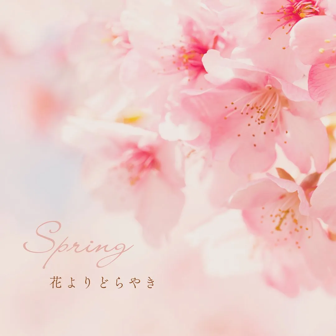 \さくら生どらSTART/